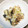 ˚✧₊⁎ゆう˚✧₊⁎'s cooksnap of when they made さば缶(水煮)のレモン風味ねぎ塩だれがけ.