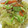 pfizer's cooksnap of when they made ねぎ塩だれde簡単♬塩焼きそば.