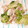 大森ヨーグルト's cooksnap of when they made 材料は3つ♪ レタスと豚コマの塩麹炒め.