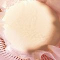 みなとのまんま's cooksnap of when they made 簡単！手作りリコッタチーズ.