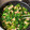 ２０１２秋より's cooksnap of when they made わさび菜／からし菜と油揚げのさっと煮.