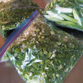 チコリママ's cooksnap of when they made 冷凍ねぎま 春先のネギの無駄無し保存.