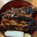 ヘルシーみちこ's cooksnap of when they made *いわしの蒲焼*～丼にも～.