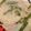 クックS5N2AF☆'s cooksnap of when they made えのきとニラのチヂミ☆.