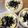 kisberry's cooksnap of when they made さつまいもと豆腐の白和え風.