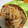 ぷーとんR's cooksnap of when they made ふわふわハンバーグのきのこソース.