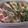 きらり流れ星's cooksnap of when they made ごぼうの天ぷら!!.