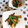 ﾁｲﾁｬﾝﾏﾏ's cooksnap of when they made ちくわと十六ささげの炒め煮.