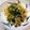 ☆すぬぴっぴ☆'s cooksnap of when they made ほうれん草とハムの簡単クリームパスタ.