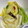 あゆちゃん家's cooksnap of when they made 皆で奪い合い!! 簡単! 白菜の漬物.