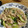 フクフク31's cooksnap of when they made 豚肉と青梗菜のとろり中華風炒め.