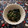 ☆hikonyan☆'s cooksnap of when they made 栄養満点＊我が家のほうれん草の胡麻和え.