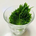 azbjbn's cooksnap of when they made 大葉の冷蔵保存・冷凍保存♬.