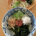 ピンクのたまご's cooksnap of when they made 簡単！さっぱり！梅おろしうどん.