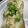 クック5JVRUQ☆'s cooksnap of when they made ササミの味噌マヨ　オガタトースト.