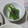 nene's cooksnap of when they made 作り置き!簡単オクラのピリ辛漬け.