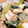 ふぅさん。's cooksnap of when they made チンゲン菜とお豆腐の和風そぼろとろみ炒め.