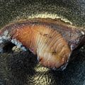 KAORU4649's cooksnap of when they made フライパンで簡単“ぶりの照り焼き”.