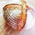 フルーツ好き中学2年's cooksnap of when they made カンパーニュ（全粒粉入）.