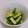 摩訶たいしょう's cooksnap of when they made 簡単サッパリきゅうり.