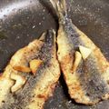 レピゆっこちゃん's cooksnap of when they made マイワシのソテー.