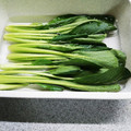 ぱふ♪'s cooksnap of when they made 小松菜の保存法.