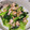 DORA＊DORA's cooksnap of when they made 小松菜と鮭フレークの和え物.
