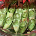 もりりんの森のちこ's cooksnap of when they made ☆旬のそら豆をトースターで塩焼き.