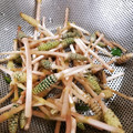 ちゃんと's cooksnap of when they made 簡単なツクシの下処理.
