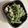 MOOOOOOE's cooksnap of when they made 簡単　春菊の白あえ.