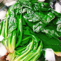 もふもふクロさん's cooksnap of when they made ほうれん草の茹で方.