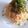 principito's cooksnap of when they made 【海外から】目指せ！たらこクリームパスタ.