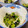 ☆あいちゃん's cooksnap of when they made 簡単！きゅうりとわかめ・ちりめんの酢の物.