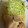 べあーるぶい's cooksnap of when they made 鶏肉マヨ炒め.