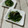 まくのうち's cooksnap of when they made ☺お弁当に☆簡単♪法蓮草のなめたけ和え☺.