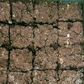 のりりん11's cooksnap of when they made 米粉とおからのブラウニー.
