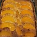 Yokchina's cooksnap of when they made ウィーン風杏ケーキ　.