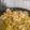 クックAHXM15☆'s cooksnap of when they made 焼きそば麺でタイ風やきそば☆パッタイ.