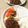 ame-ikuru's cooksnap of when they made 薄切りポークのマンゴーソースライス.