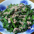 や～たん食堂's cooksnap of when they made のらぼう菜とツナの胡麻からし和え.