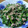 や～たん食堂's cooksnap of when they made のらぼう菜とツナの胡麻からし和え.