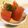 太郎サブレ's cooksnap of when they made トマトの青じそドレッシング和え.
