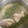 北の食いしん坊's cooksnap of when they made 残った鶏皮は捨てる前にスープを取ろう！.