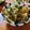 低カロ探検隊's cooksnap of when they made 簡単ﾍﾙｼｰ♪野菜たっぷり白滝焼きそば.