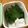 Etsu☆ko's cooksnap of when they made 大葉の保存方法.