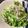 ベティ３'s cooksnap of when they made たっぷりしらすの☆簡単アンチョビキャベツ.