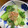 ちゃぎー's cooksnap of when they made 超簡単★青梗菜とアミエビの和え物.