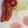 akiyuママ's cooksnap of when they made いろいろ使える！ミニトマトの蝶切り.