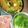 yama_miu's cooksnap of when they made 豚肉・水菜・青梗菜のお鍋☆.