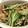 料理ニガテ系女子☆'s cooksnap of when they made 水菜と豚の炒め物.